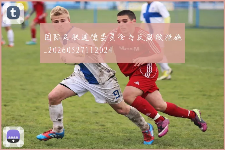 国际足联道德委员会与反腐败措施_20260527112024