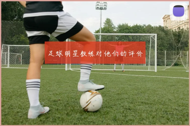足球明星教练对他们的评价