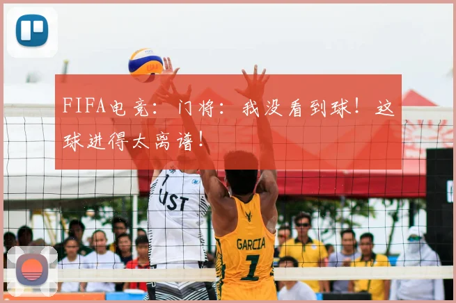 FIFA电竞：门将：我没看到球！这球进得太离谱！